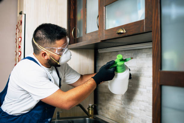 Best Affordable Pest Control Services  in On Top Of The World Designated Place, FL