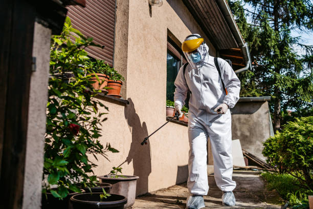Best Pest Prevention Services  in On Top Of The World Designated Place, FL